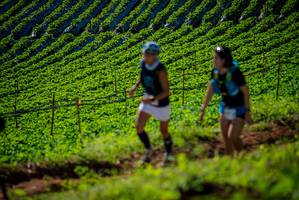 BIB: 
                            <button type="button" onclick="openModal(19160931)" class="btn btn-primary btn-sm float-right btn-popup" data-toggle="modal" data-target=".modal-high-quality">
                        <i class="fas fa-shopping-cart"></i> Add to Cart
                    </button>
                                            <button type="button" onclick="isThisMe(19160931, true)" class="btn btn-success btn-sm float-right btn-popup btn-isme hidden" data-toggle="tooltip" data-placement="bottom" title="นี่คือรูปของคุณใช่ไหม คลิกที่นี่เพื่อเอาเข้าอัลบั้ม">
                        <i class="fas fa-plus"></i> Add to album
                    </button>
                    <button type="button" onclick="isThisMe(19160931, false)" class="btn btn-warning btn-sm float-right btn-popup btn-isnotme hidden">
                        <i class="fas fa-ban"></i> Remove from album
                    </button>